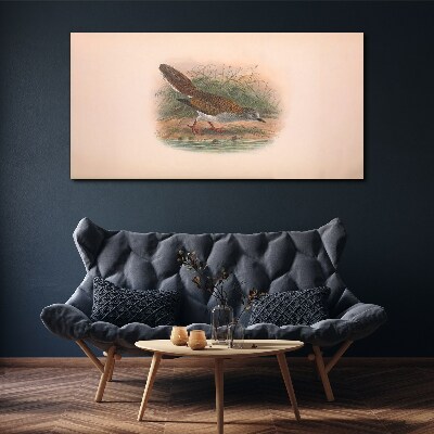 Foto auf leinwand Ein Vogel über dem Wasser