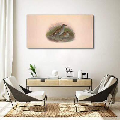 Bild auf leinwand Vögel im Gras