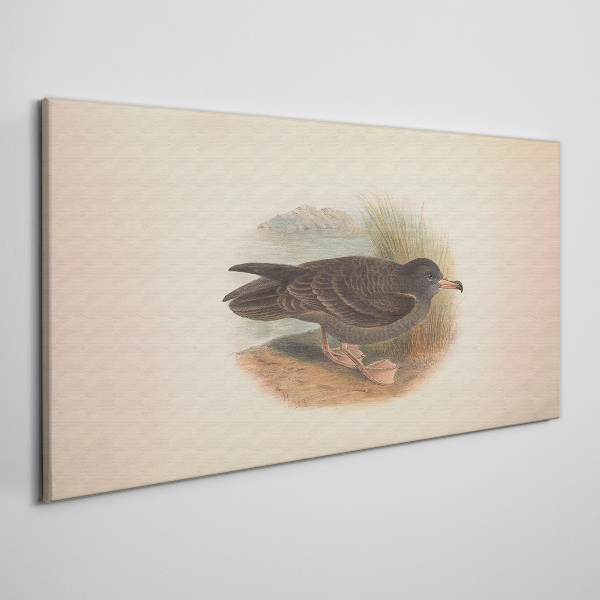Foto auf leinwand Ein Vogel am Wasserrand