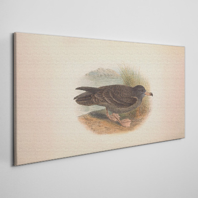 Foto auf leinwand Ein Vogel am Wasserrand