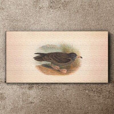 Foto auf leinwand Ein Vogel am Wasserrand