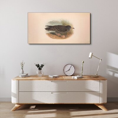 Foto auf leinwand Ein Vogel am Wasserrand