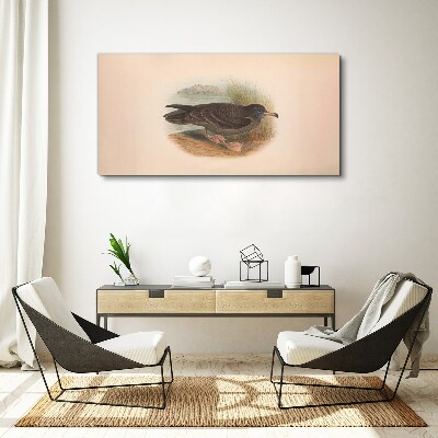 Foto auf leinwand Ein Vogel am Wasserrand