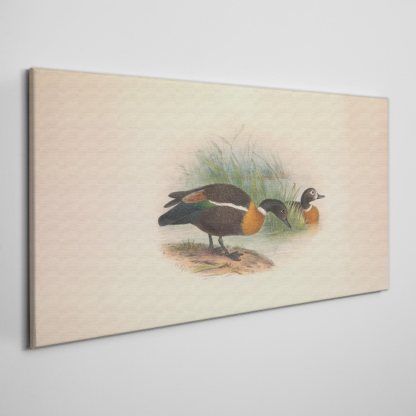 Foto auf leinwand Zwei Enten im Gras