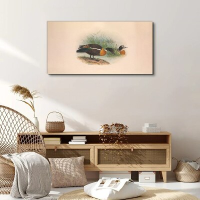 Foto auf leinwand Zwei Enten im Gras