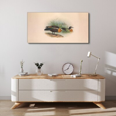Foto auf leinwand Zwei Enten im Gras