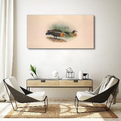 Foto auf leinwand Zwei Enten im Gras