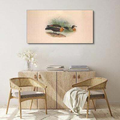 Foto auf leinwand Zwei Enten im Gras