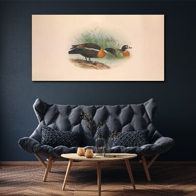 Foto auf leinwand Zwei Enten im Gras