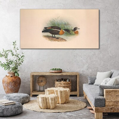 Foto auf leinwand Zwei Enten im Gras