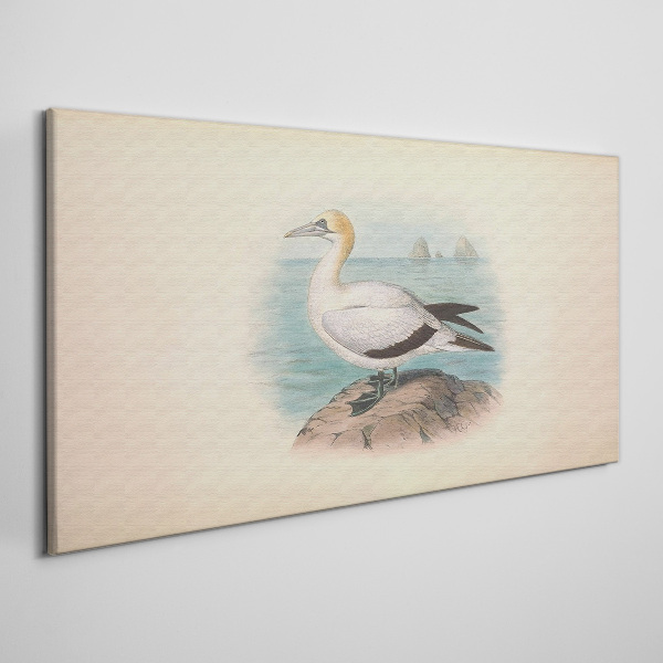 Bild auf leinwand Seevogel im Wasser