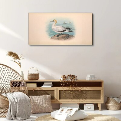 Bild auf leinwand Seevogel im Wasser