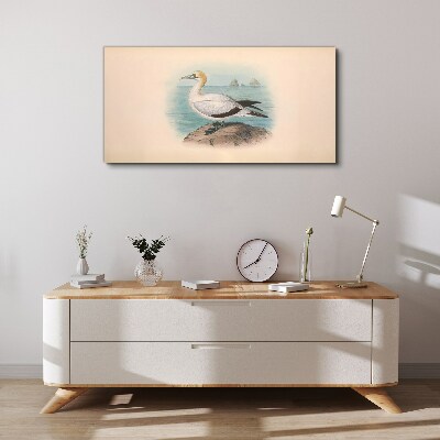 Bild auf leinwand Seevogel im Wasser