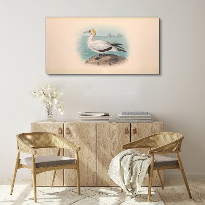 Bild auf leinwand Seevogel im Wasser
