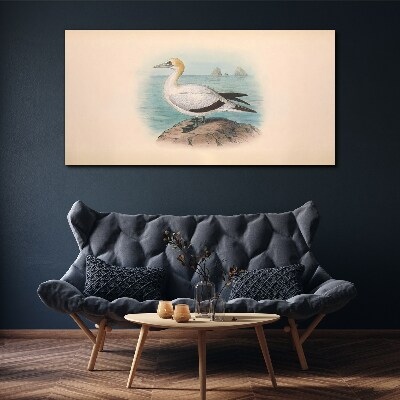 Bild auf leinwand Seevogel im Wasser