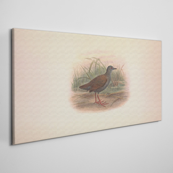 Bild auf leinwand Fischer im Gras