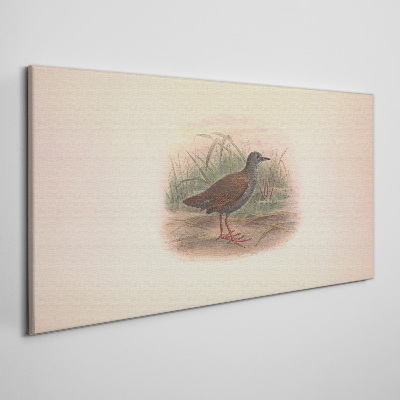 Bild auf leinwand Fischer im Gras