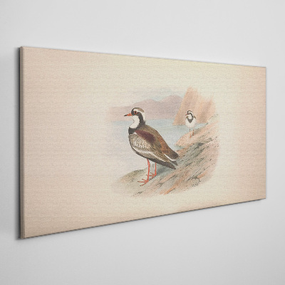 Foto auf leinwand Vögel über dem Wasser
