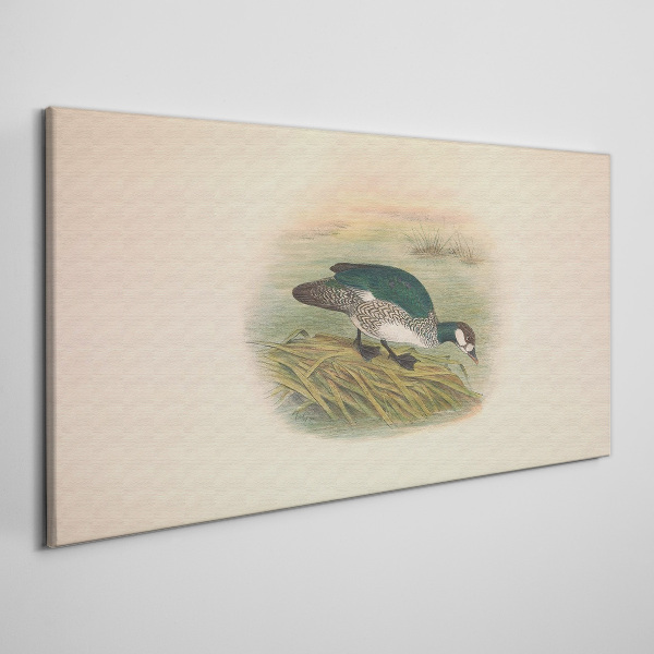Foto auf leinwand Vogel auf einem Wasserhintergrund