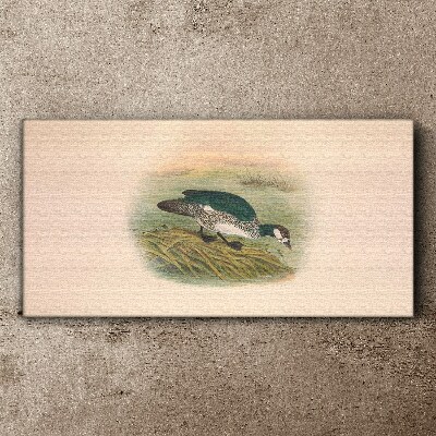 Foto auf leinwand Vogel auf einem Wasserhintergrund