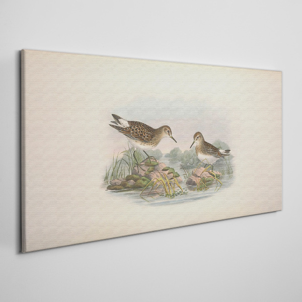 Foto auf leinwand Vögel am Teich in Pastellfarben