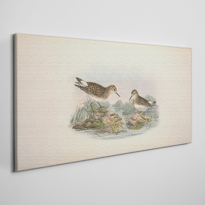 Foto auf leinwand Vögel am Teich in Pastellfarben