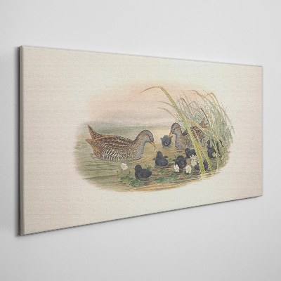 Wandbild Entenfamilien in einer Wasserumgebung