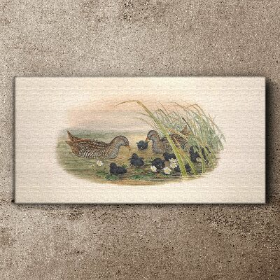 Wandbild Entenfamilien in einer Wasserumgebung