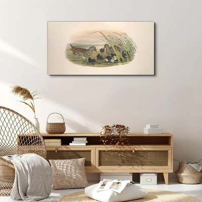 Wandbild Entenfamilien in einer Wasserumgebung