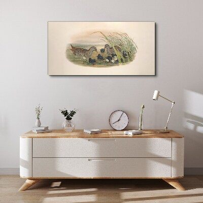 Wandbild Entenfamilien in einer Wasserumgebung