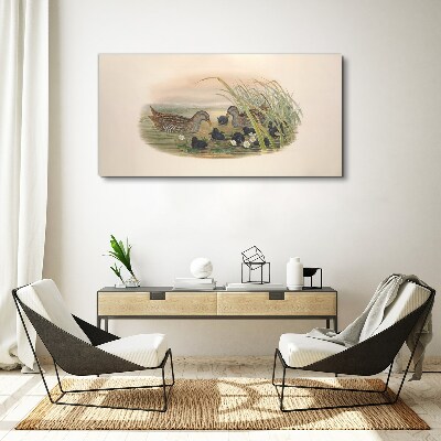 Wandbild Entenfamilien in einer Wasserumgebung