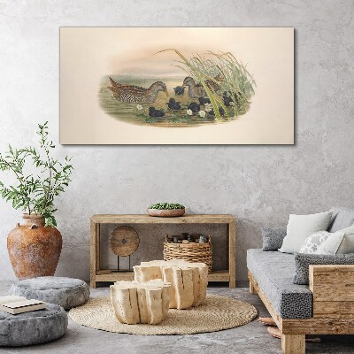 Wandbild Entenfamilien in einer Wasserumgebung