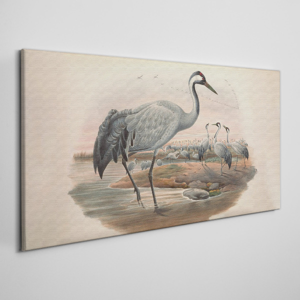 Foto auf leinwand Kiebitz auf dem Wasserhintergrund