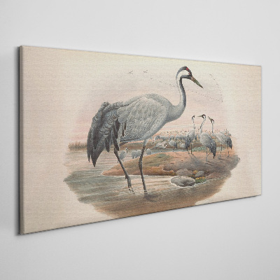 Foto auf leinwand Kiebitz auf dem Wasserhintergrund