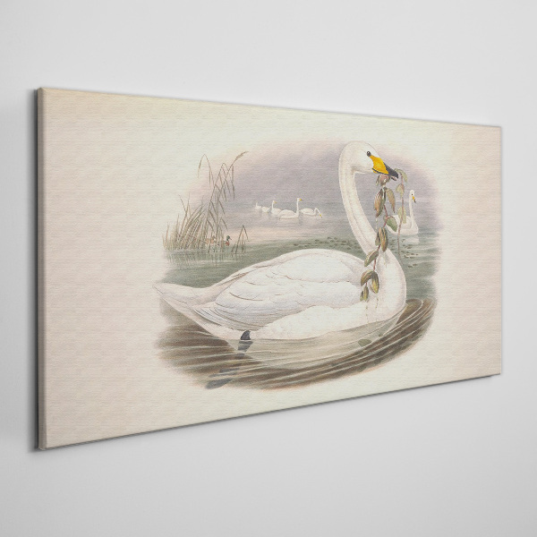 Foto auf leinwand Schwan mit einem Zweig