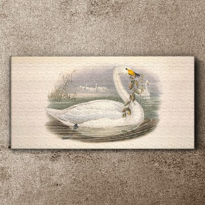 Foto auf leinwand Schwan mit einem Zweig