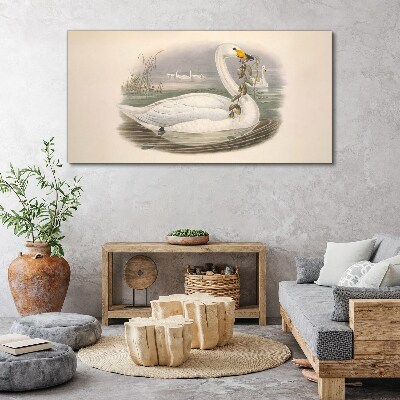 Foto auf leinwand Schwan mit einem Zweig