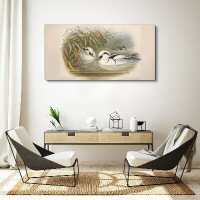 Bild auf leinwand Ein idyllisches Duett zwischen den Gräsern