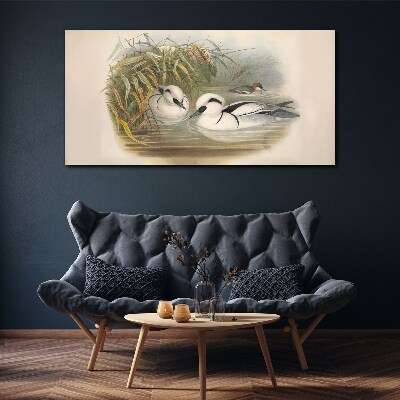 Bild auf leinwand Ein idyllisches Duett zwischen den Gräsern