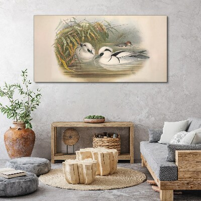 Bild auf leinwand Ein idyllisches Duett zwischen den Gräsern