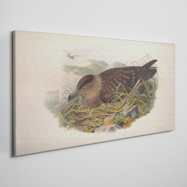 Foto auf leinwand Ein Vogelnest in seiner natürlichen Umgebung