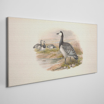 Foto auf leinwand Gänsefamilie am Wasser
