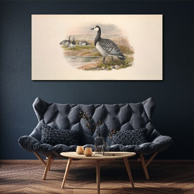 Foto auf leinwand Gänsefamilie am Wasser