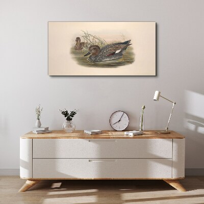 Foto leinwand Enten sind in ihrer natürlichen Umgebung ruhig