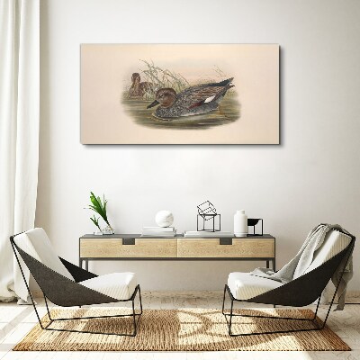 Foto leinwand Enten sind in ihrer natürlichen Umgebung ruhig