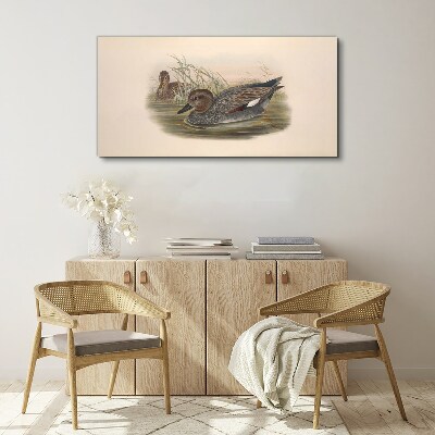 Foto leinwand Enten sind in ihrer natürlichen Umgebung ruhig