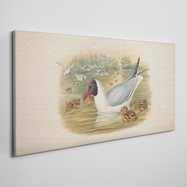 Foto auf leinwand Möwe mit Jungtier im Wasser