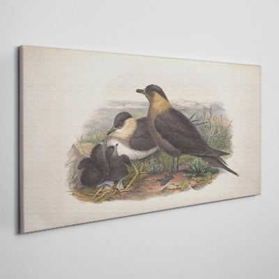 Foto auf leinwand Vogelfamilie auf dem Nest