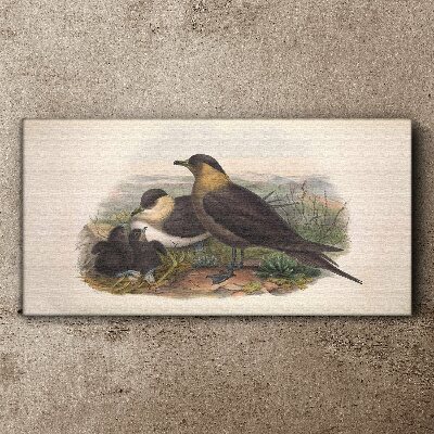 Foto auf leinwand Vogelfamilie auf dem Nest