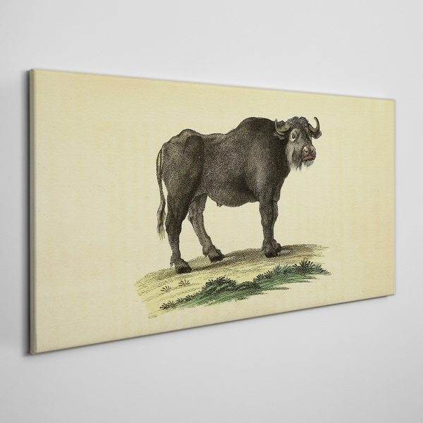 Foto auf leinwand Büffel auf natürlichem Hintergrund
